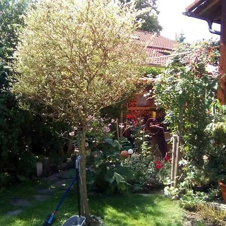 Apartamento Seitz